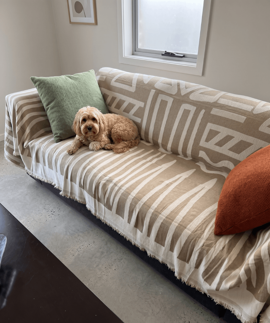 A dog relaxing on a Welby couch protector